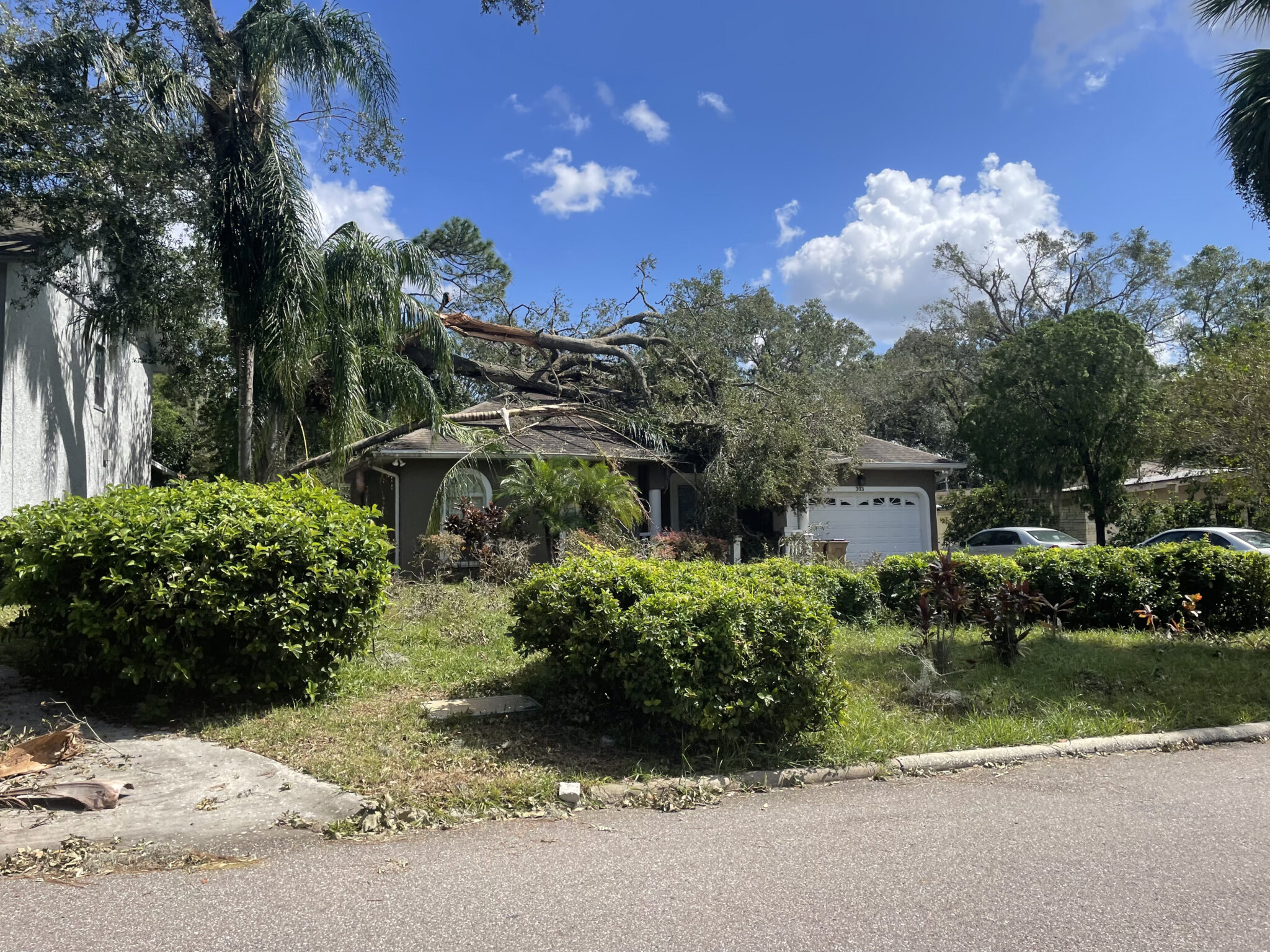 A single story florida home has an old tall oak tree and tall skinny palm tree snapped and on the roof of the house.