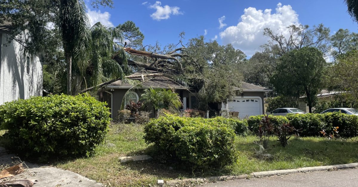 A single story florida home has an old tall oak tree and tall skinny palm tree snapped and on the roof of the house.